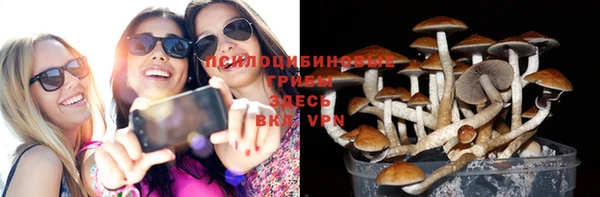 спайс Аркадак