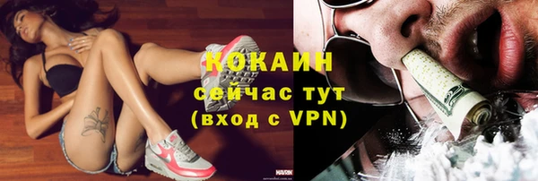 спайс Аркадак