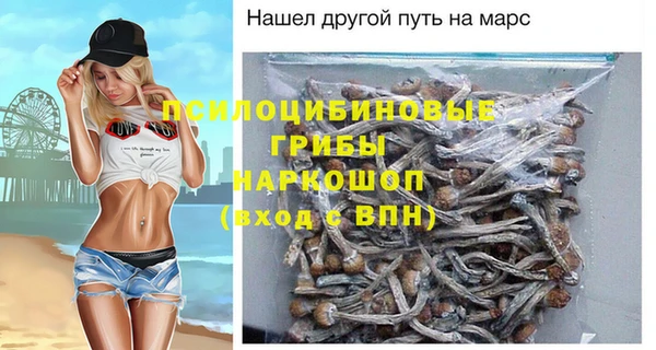 ГАЛЛЮЦИНОГЕННЫЕ ГРИБЫ Семилуки